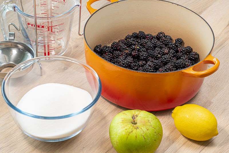 How to Make Blackberry Jelly, and why fruit jellies work.